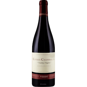 domaine fabrice vigot gevrey chambertin